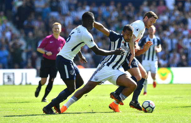 贡献的新人 贡献的新人